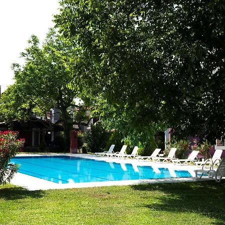 柯克皮纳庄园别墅 *