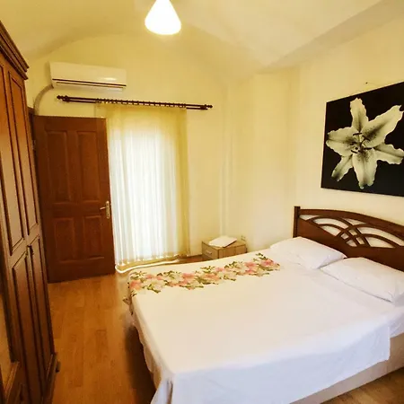 别墅 柯克皮纳庄园别墅 *